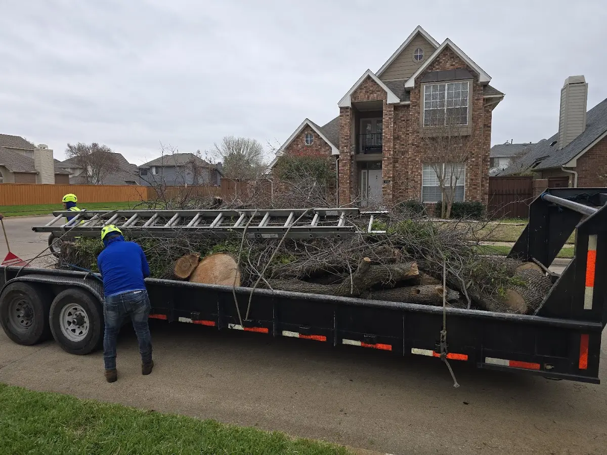 Expert Tree Fertilization with proper safety equipment in Glenham
